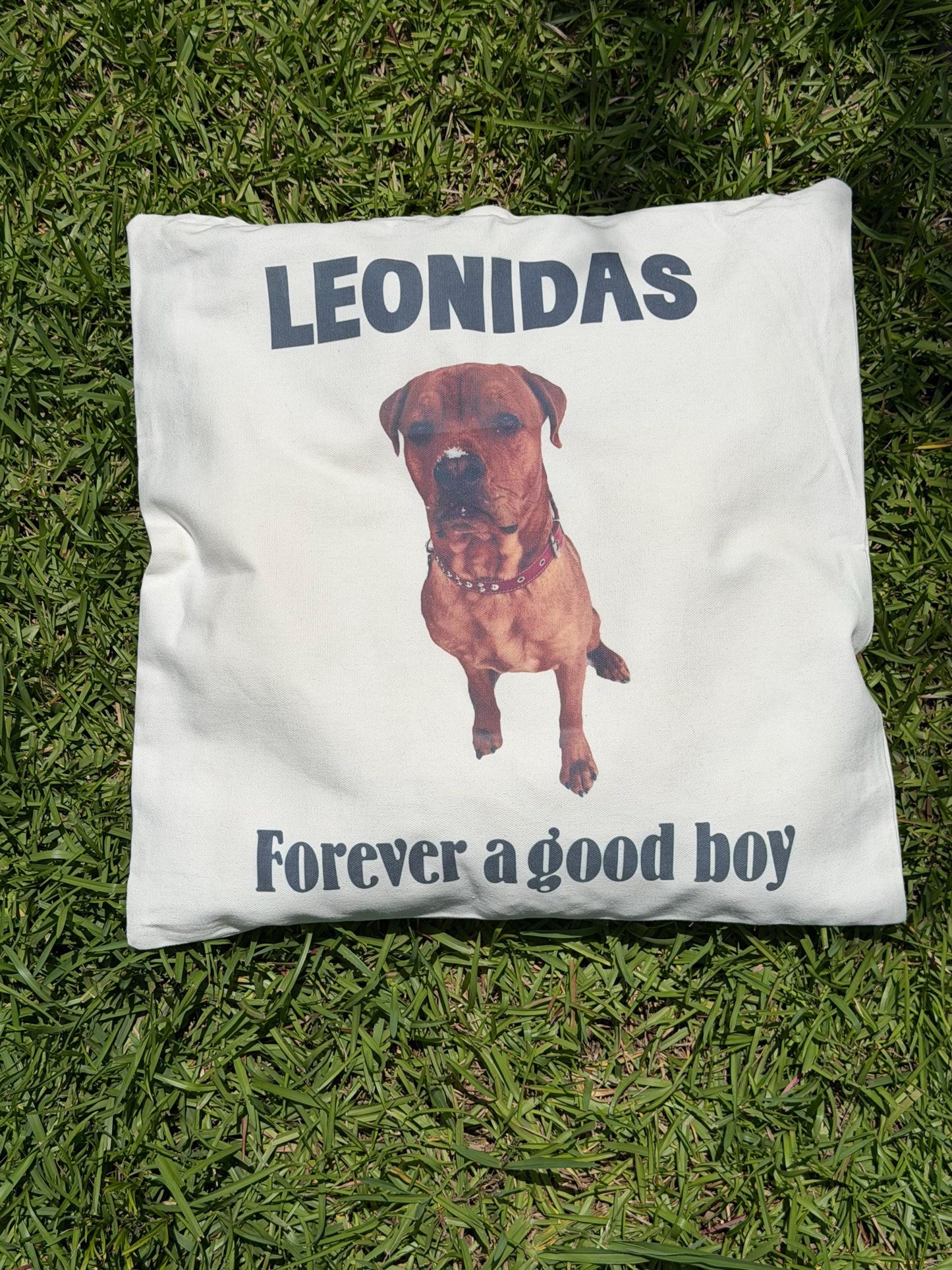 Pet Memorial Name and picture Personalized Canvas Pillow cover