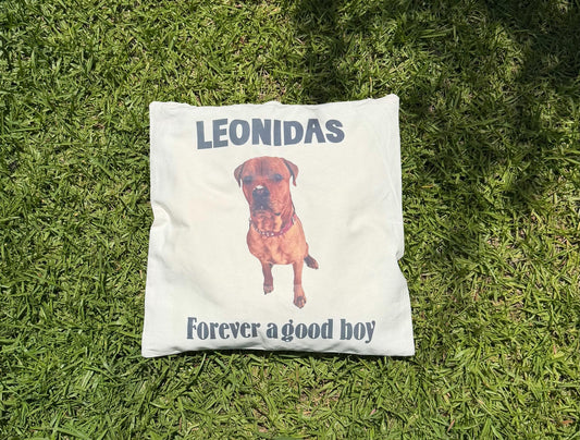 Pet Memorial Name and picture Personalized Canvas Pillow cover