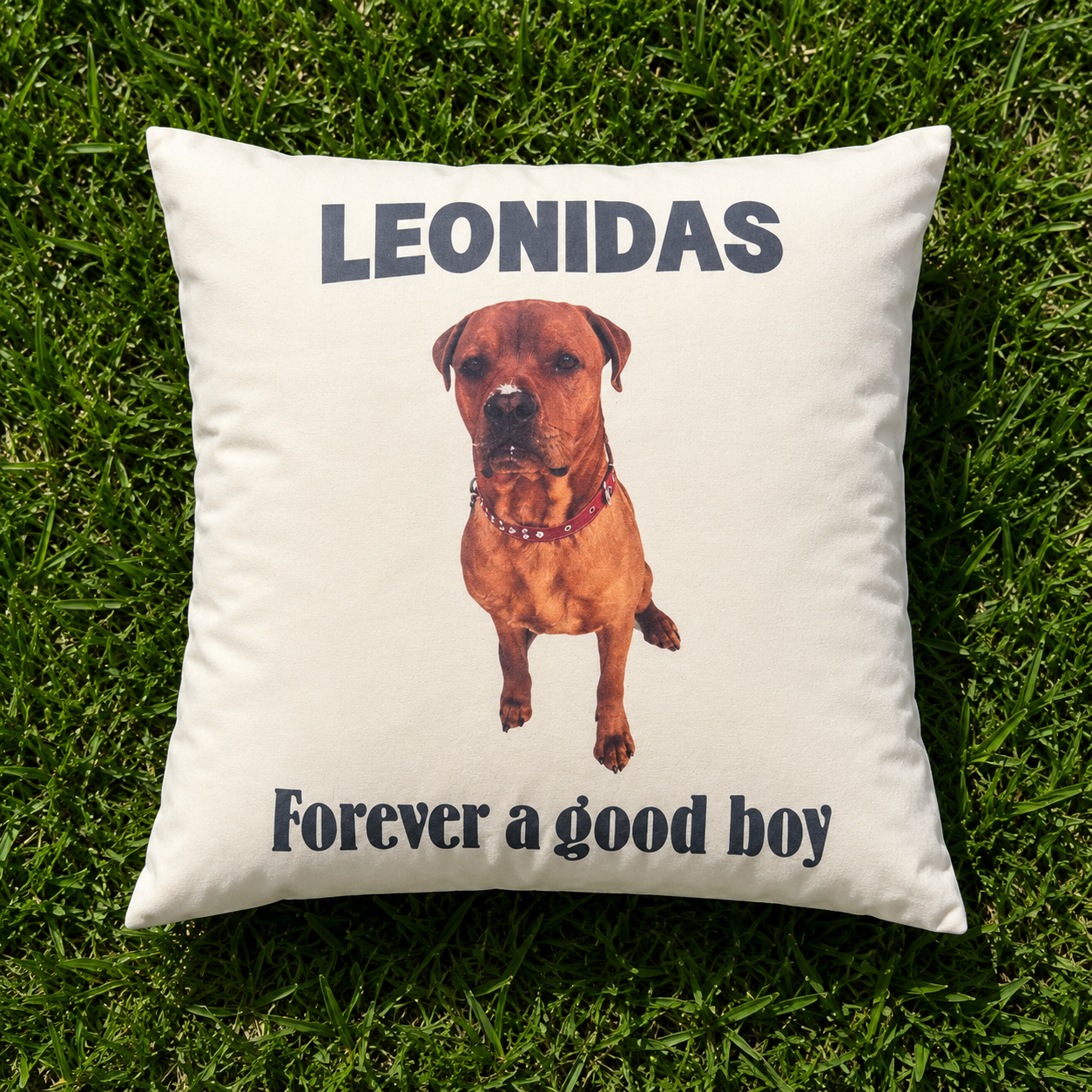 Pet Memorial Name and picture Personalized Canvas Pillow cover