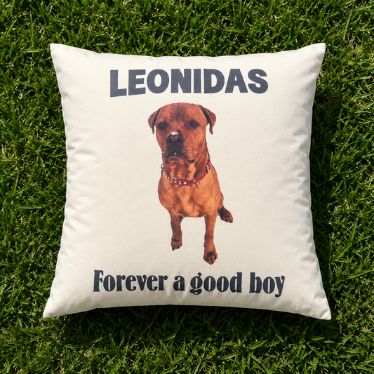 Pet Memorial Name and picture Personalized Canvas Pillow cover