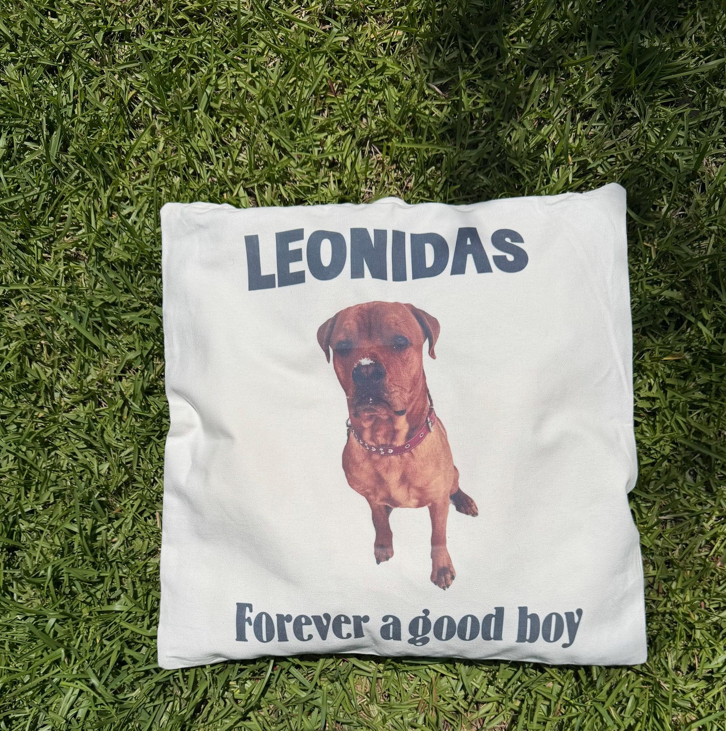 Pet Memorial Name and picture Personalized Canvas Pillow cover