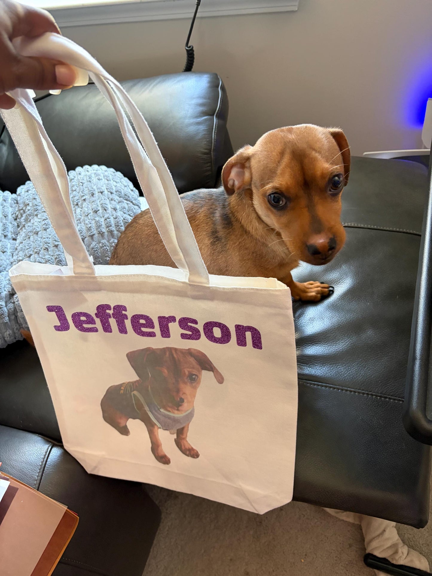 Pet Name and picture Glitter Personalized Canvas Tote